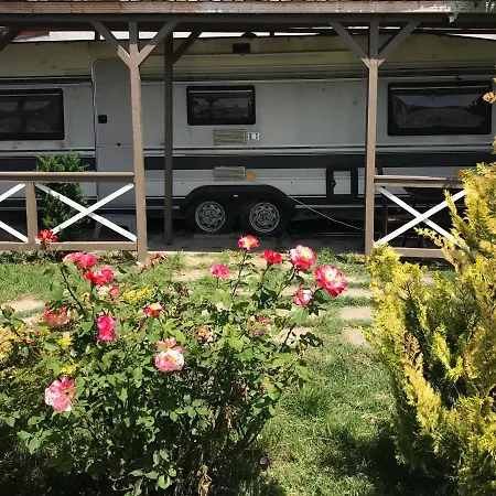 Salbatic Holiday home Vadu