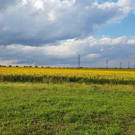 Case de vacanță Salbatic