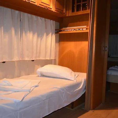 Case de vacanță Salbatic *